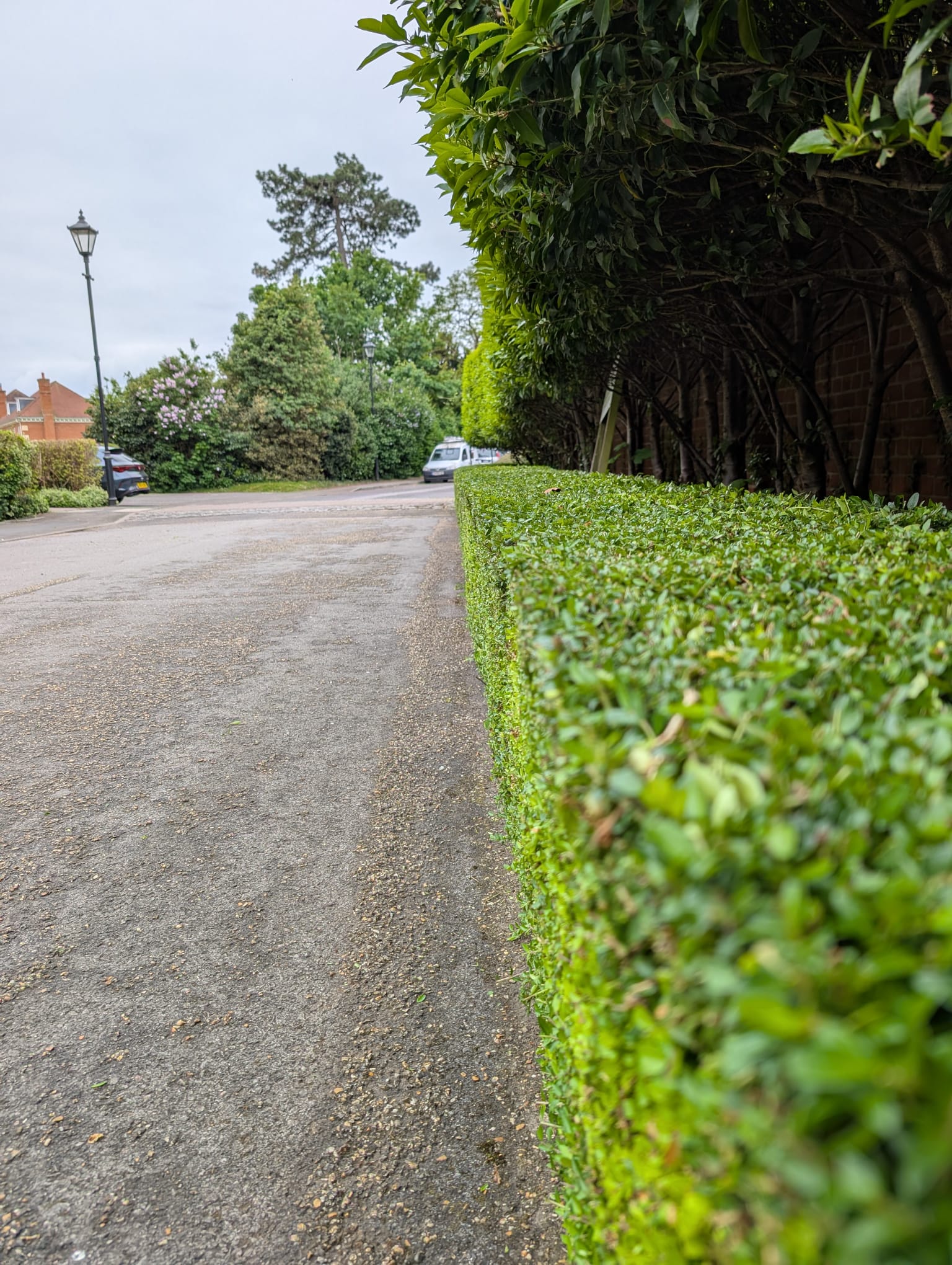 Regular Trimming